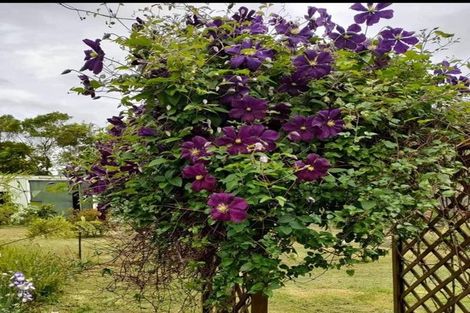 Photo of property in 7 Greenfield Street, Hector, 7822