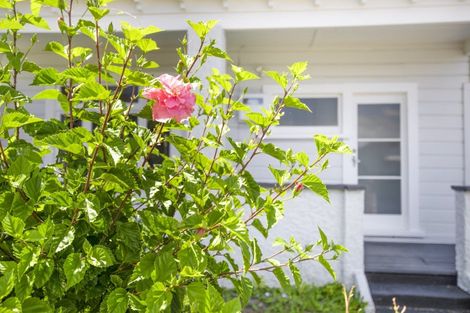 Photo of property in 164 Wellesley Road, Napier South, Napier, 4110