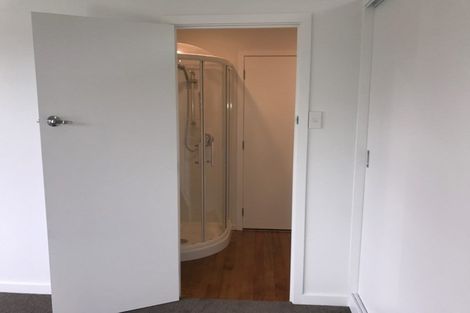 Photo of property in 117 Doon Street, Waverley, Dunedin, 9013