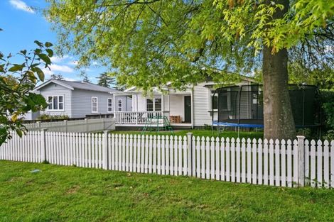 Photo of property in 29 Princes Street, Cambridge, 3434