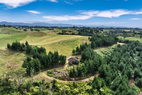 Photo of property in 371 Esdaile Road, Whakamarama, Tauranga, 3180