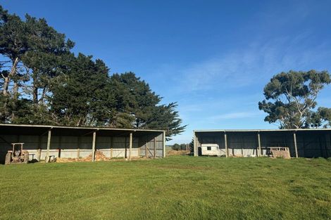 Photo of property in 221 Titiroa Pine Bush Road, Waimahaka, Wyndham, 9891