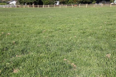 Photo of property in 431 Tararua Road, Levin, 5571