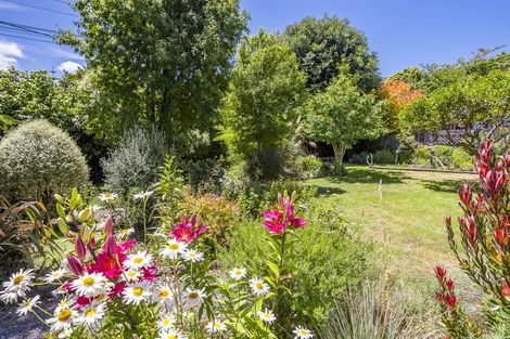 Photo of property in 25 Seddon Street, Waikanae, 5036