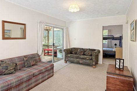 Photo of property in 56 Totara Avenue, Collingwood, 7073