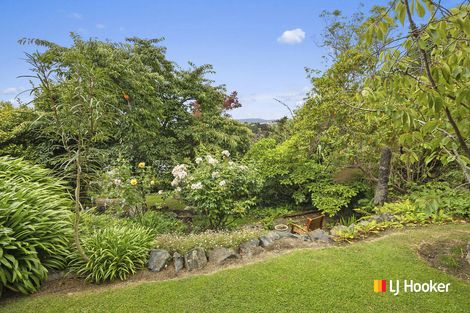 Photo of property in 43 Elliffe Place, Shiel Hill, Dunedin, 9013