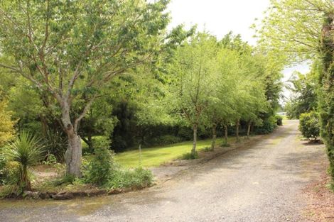 Photo of property in 8 Banks Street, Waihi, 3610