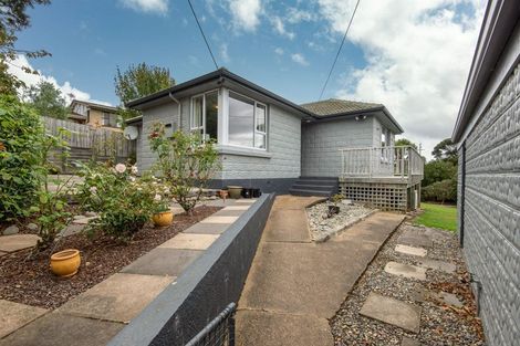 Photo of property in 56 Every Street, Andersons Bay, Dunedin, 9013