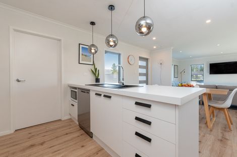 Photo of property in 48 Larch Crescent, Alexandra, 9320