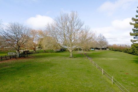 Photo of property in 31 Racecourse Road, Cambridge, 3493