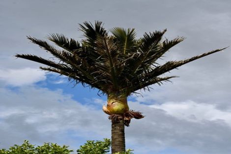 Photo of property in 13 Wharf Road, Karamea, 7893