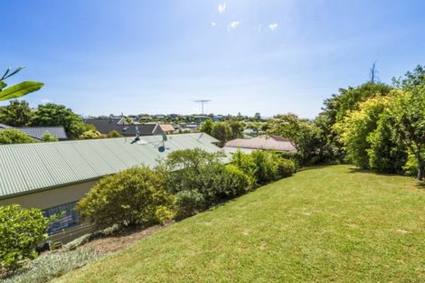 Photo of property in 17 Idesia Grove, Richmond, 7020