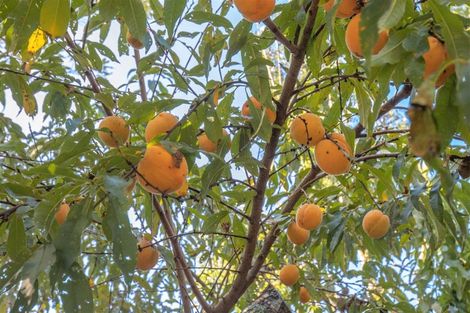 Photo of property in 29 Croft Terrace, Huntly, 3700