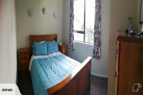 Photo of property in 134 Winchester Street, Ashhurst, 4810