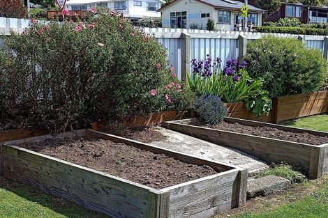 Photo of property in 50 Onslow Street, Bluff, 9814