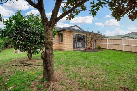 Photo of property in 17 Glenpark Place, Favona, Auckland, 2024