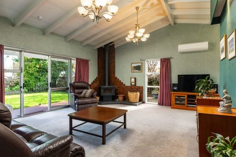 Photo of property in 9 Leefield Street, Blenheim, 7201