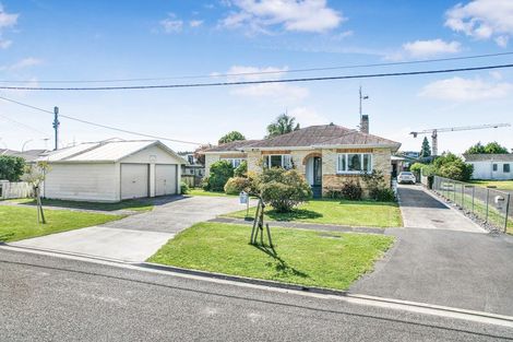 Photo of property in 36 Hobson Street, Maeroa, Hamilton, 3200