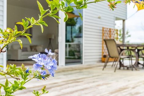 Photo of property in 59b Jack Boyd Drive, Mangawhai Heads, Kaiwaka, 0573