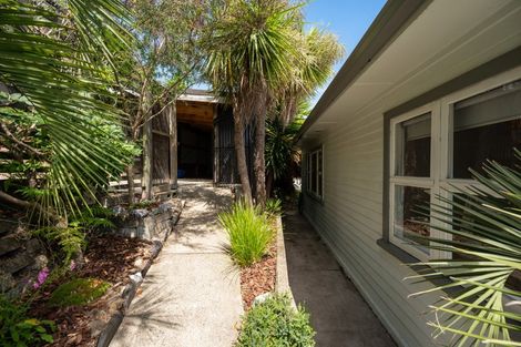 Photo of property in 55 Konini Street, Nelson South, Nelson, 7010