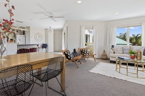 Photo of property in 6b Norris Street, Tauranga, 3110