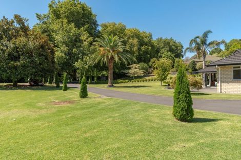 Photo of property in 9 Plane Tree Lane, Tauriko, Tauranga, 3110