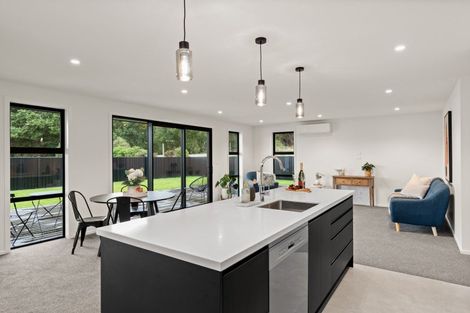 Photo of property in 31 Franks Place, Outram, 9019