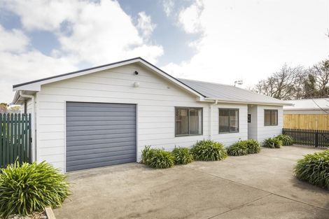 Photo of property in 8a Millar Street, Terrace End, Palmerston North, 4410