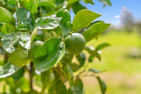 Photo of property in 5 Church Street, Aratapu, Dargaville, 0371