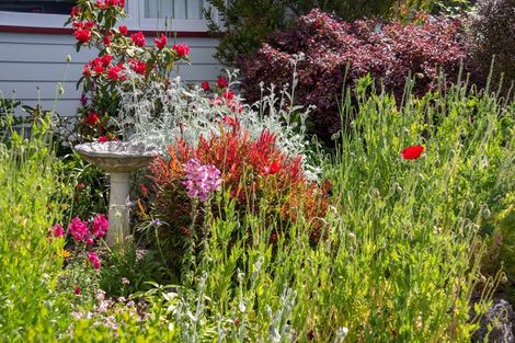 Photo of property in 43 Fergusson Street, Solway, Masterton, 5810