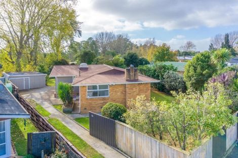 Photo of property in 91 Bruce Avenue, Glenview, Hamilton, 3206