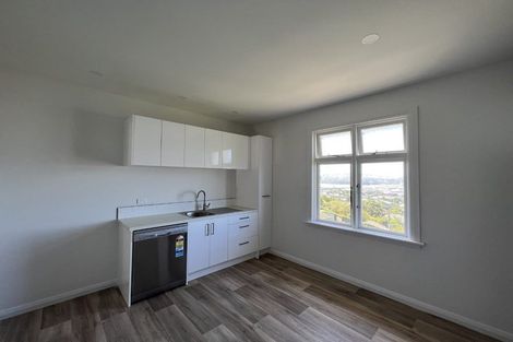 Photo of property in 123 Forfar Street, Clyde Hill, Dunedin, 9011