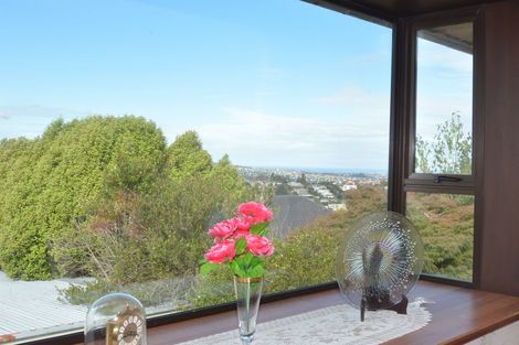 Photo of property in 188a Balmacewen Road, Wakari, Dunedin, 9010