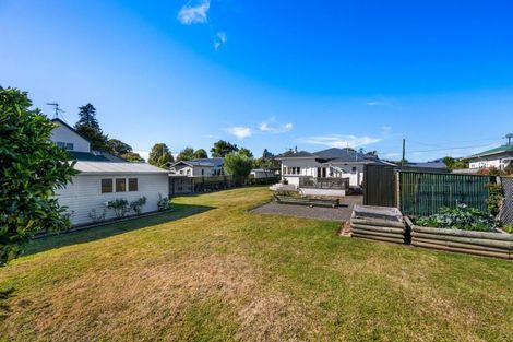 Photo of property in 2 Brewer Street, Blenheim, 7201