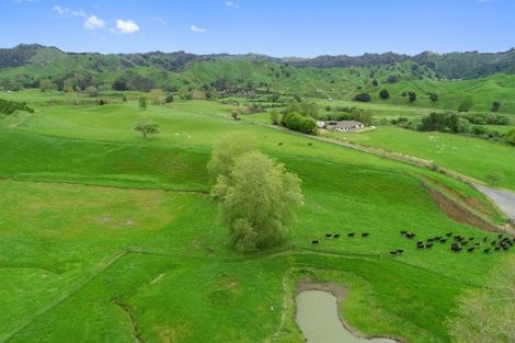 Photo of property in 987 Ongarue Back Road, Ongarue, Taumarunui, 3996