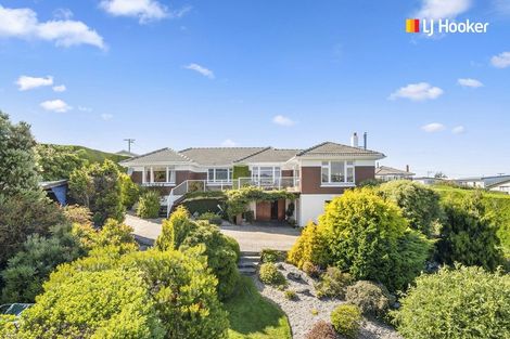 Photo of property in 115 Belford Street, Waverley, Dunedin, 9013