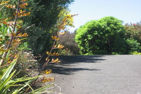 Photo of property in 388 Snodgrass Road, Te Puna, Tauranga, 3174