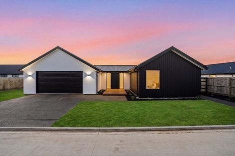 Photo of property in 51 Fairmaid Street, Lincoln, 7608