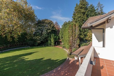 Photo of property in 161 Bollard Road, Tamahere, Hamilton, 3283