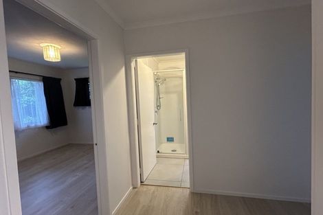 Photo of property in 19 Sussex Street, Chartwell, Hamilton, 3210