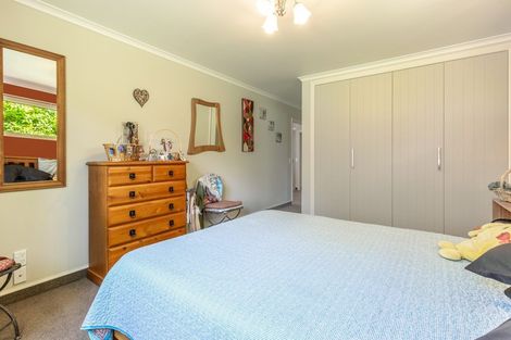 Photo of property in 38 Te Herekiekie Street, Turangi, 3334