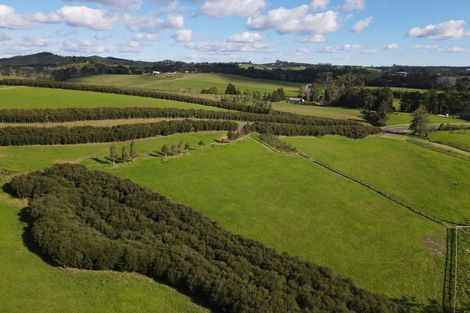 Photo of property in 19 Okura Drive, Kerikeri, 0230