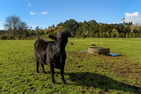 Photo of property in 80 Upland Road, Aongatete, Katikati, 3181