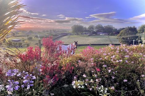 Photo of property in 734 Mangaorongo Road, Otorohanga, 3972