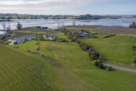 Photo of property in 81 Bronte Road East, Bronte, Upper Moutere, 7173