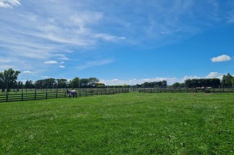 Photo of property in 1329 Rangitikei Line, Newbury, Palmerston North, 4475