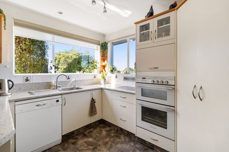 Photo of property in 17 Hinau Place, Glenwood, Timaru, 7910