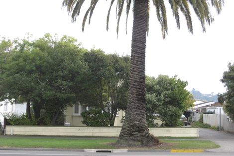 Photo of property in 167 Kennedy Road, Marewa, Napier, 4110