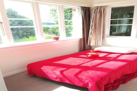 Photo of property in 45 Pacific Street, Roslyn, Dunedin, 9010