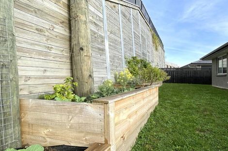 Photo of property in 72 Adler Drive, Ohauiti, Tauranga, 3112